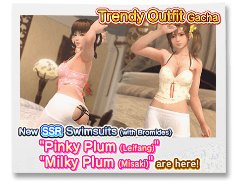 dead or alive xtreme venus vacation banned in country