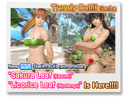 dead or alive xtreme 3 kasumi